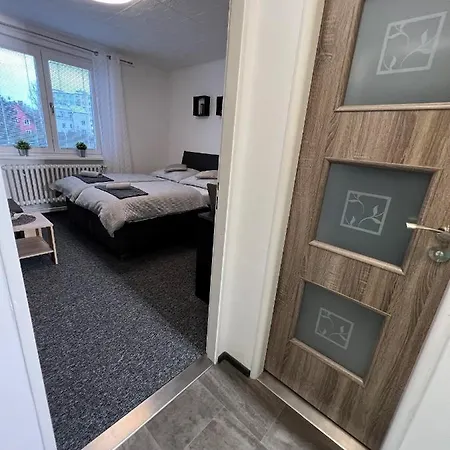 Apartmany Karlovy Vary Apartment *