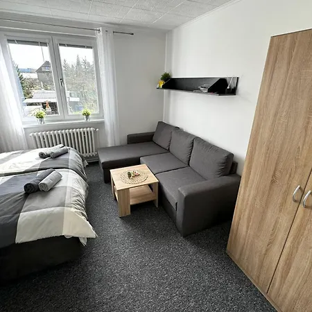Apartmany Karlovy Vary Apartment *